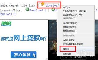 AV黑人磁力链 下载,AV黑人磁力链下载背后的故事