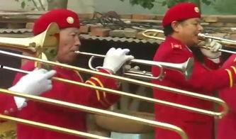 洋号洋鼓视频,探寻异域风情与音乐魅力