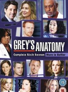 实习医生格蕾贝利老公,贝利的爱情旅程与家庭生活