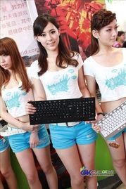 mihiro无码种子,揭秘数字世界的神秘之旅