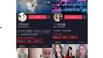 吉安抖音爆料事件视频最新,真相大白，网络舆论如何影响现实？