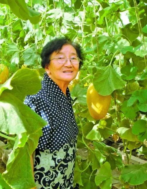 吃瓜娱乐大八卦下载